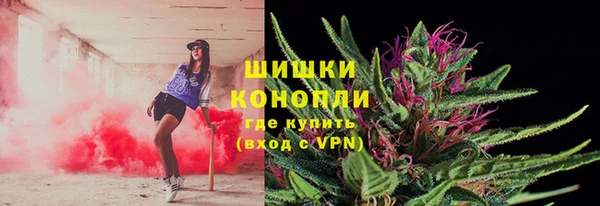 МДПВ Волосово
