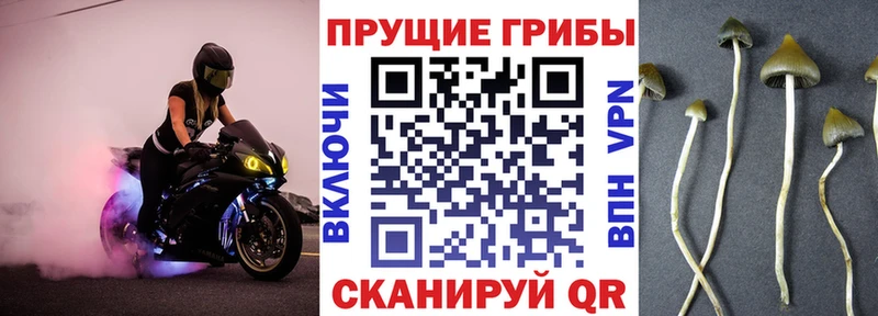 Галлюциногенные грибы MAGIC MUSHROOMS  Крым 
